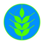 Spiga Verde